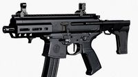 Sig MPX