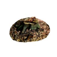 Forest Tree Stump 4K -Part 8-