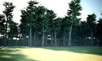 Conifer Forest 3d exterior  scene