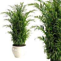 ceramic plant pot