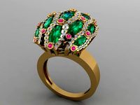 FSEN RING