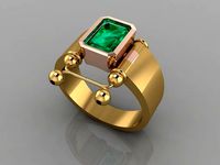 FSEN RING