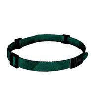 DIVING BELT