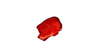 Meat_Steak_Daging_Daging Sapi