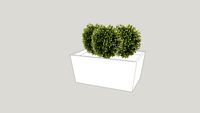 9' Rectangular Planter with Mini Boxwoods