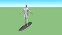 sliver surfer