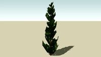 Tree - Generic - Columnar 14