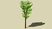 Tree - Generic - Columnar 17
