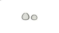 2 vases blancs H20