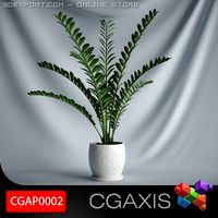 CGAXIS plant 02 3D Model