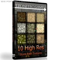 10 High Res Stone Path Texture 3D Model