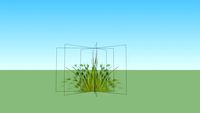 grassy grass
