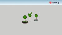 Tree Netesov Semen