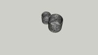 Grey pots PTMD