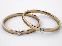 2 Gold Rings 3D Model
