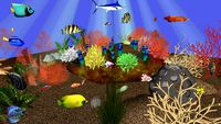 Aquário - Peixes - fundo do mar - fish - seabed
