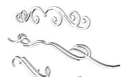 )volutes