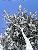 Thin Tree2 3D Model