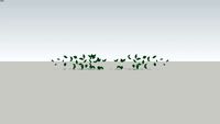 TFU Leaves