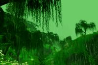 Rainforest Environment