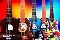 Ukulele Guitar