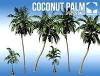 Coconut Palm Species Pack (v8)