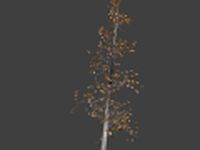 High Poly Autumn Tree 5 3D Model