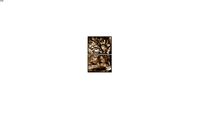 quadro arvores ambar