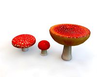 red mushroom