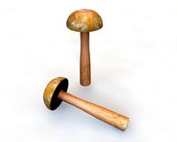 brown slim mushroom