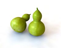 round neck gourd