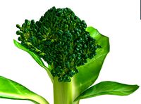 broccoli rabe