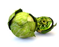 cabbage green