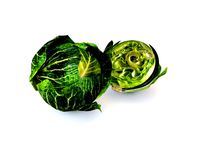 cabbage dark green