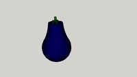 Aubergine - Eggplant