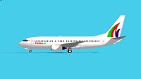 Pelita Air Boeing-737-400 2