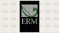 ERM Logo Wall 2.0