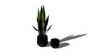 Plant in pot grijs