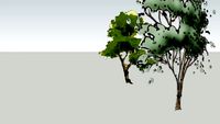 2D Tree - Watercolour