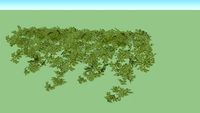ivy low poly vegetacion geometria baja alta calidad