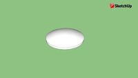 white botts dot