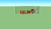 3d selin quaresma