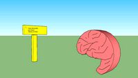 cerebro y presentación