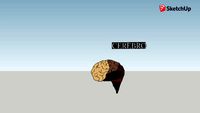 Cerebro