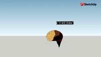 Cerebro