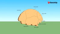CEREBRO