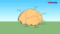 CEREBRO 3D