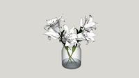 flores copo