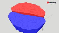cerebro