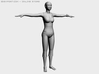 Femail body 3D Model